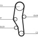 ContiTech | Zahnriemensatz | CT589K2 ContiTech | Zahnriemensatz | CT589K2