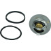 Maxgear | Thermostat, Kühlmittel | 67-0090 Maxgear | Thermostat, Kühlmittel | 67-0090