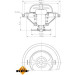 NRF | Thermostat, Kühlmittel | 725070