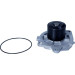 Maxgear | Wasserpumpe | 47-0080 Maxgear | Wasserpumpe | 47-0080