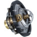 NRF | Thermostat, Kühlmittel | 725285