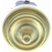 Vemo | Sensor, Kühlmitteltemperatur | V46-72-0066