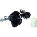Maxgear | Stoßdämpfer | 11-0305 Maxgear | Stoßdämpfer | 11-0305