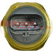 Metzger | Sensor, Öldruck | 0906313 Metzger | Sensor, Öldruck | 0906313