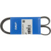 SKF | Keilrippenriemen | VKMV 6PK1020 R SKF | Keilrippenriemen | VKMV 6PK1020 R