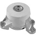 Tedgum | Lagerung, Motor | TED46349