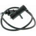 Vemo | Sensor, Drehzahl | V20-72-0414