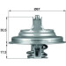 Mahle Thermostat, Kühlmittel BEHR TX 54 71D