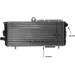 Mahle | Kühler, Motorkühlung | CR 620 000S