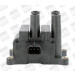 BorgWarner (BERU) | Zündspule | ZS556