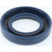Corteco | Dichtring | 12010825B Corteco | Dichtring | 12010825B