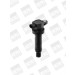 BorgWarner (BERU) | Zündspule | ZS474