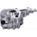 V10-0724 Kraftstoffpumpe Original VAICO Qualität