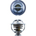 Mahle | Thermostat, Kühlmittel | TX 123 95D Mahle | Thermostat, Kühlmittel | TX 123 95D