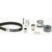 CT1134K1 Zahnriemensatz