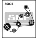 SKF | Keilrippenriemensatz | VKMA 31020