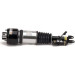 Arnott | Luftfederbein | AS-2786