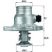 Mahle | Thermostat, Kühlmittel | TM 11 105 Mahle | Thermostat, Kühlmittel | TM 11 105