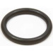 BOSCH | Dichtring | F 00R J01 482 BOSCH | Dichtring | F 00R J01 482