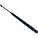 2 x MAXGEAR Gasfeder, Koffer-/Laderaum | 12-0119