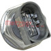 Metzger | Sensor, Kraftstoffdruck | 0906319