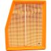 MANN-FILTER C 23 124 Luftfilter