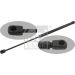 FEBI BILSTEIN 29204 Gasfeder, Motorhaube