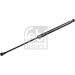 FEBI BILSTEIN 177366 Gasfeder, Koffer-/Laderaum