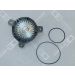 OE Germany Wasserpumpe, Motorkühlung 03 2000 D12C00 OE Germany Wasserpumpe, Motorkühlung 03 2000 D12C00
