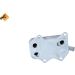 NRF Ölkühler, Motoröl EASY FIT 31172