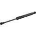 FEBI BILSTEIN 31664 Gasfeder, Koffer-/Laderaum