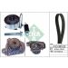 INA Wasserpumpe + Zahnriemensatz 530 0505 31