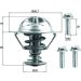 Mahle Thermostat, Kühlmittel BEHR TX 202 90D