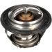 Thermostat, Kühlmittel TH32478G1