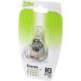 Valeo Glühlampe, Abbiegescheinwerfer ESSENTIAL 032004