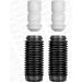 Monroe Staubschutzsatz, Stoßdämpfer PROTECTION KIT PK099