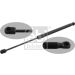 FEBI BILSTEIN 31648 Gasfeder, Koffer-/Laderaum