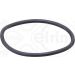 Elring Dichtung, Thermostat 002.240