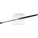 FEBI BILSTEIN 180356 Gasfeder, Koffer-/Laderaum