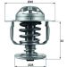 Mahle Thermostat, Kühlmittel BEHR TX 110 82D