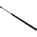 Gasfeder, Koffer-/Laderaum 12-0103