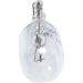 BOSCH Glühlampe Pure Light 1 987 302 223