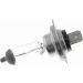 Glühlampe, Fernscheinwerfer V99-84-0002 Glühlampe, Fernscheinwerfer V99-84-0002
