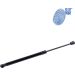 Blue Print Gasfeder, Koffer-/Laderaum ADK85803
