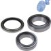 Blue Print Radlagersatz ADT38236