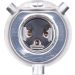 BOSCH Glühlampe, Fernscheinwerfer Plus 50 BL 1 987 301 040