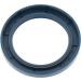 Dichtring 12001698B Dichtring 12001698B