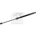 FEBI BILSTEIN 175319 Gasfeder, Koffer-/Laderaum
