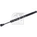 FEBI BILSTEIN 37483 Gasfeder, Koffer-/Laderaum
