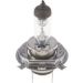 Glühlampe, Hauptscheinwerfer 1 987 302 441 Glühlampe, Hauptscheinwerfer 1 987 302 441